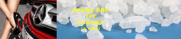 крисы Елизово