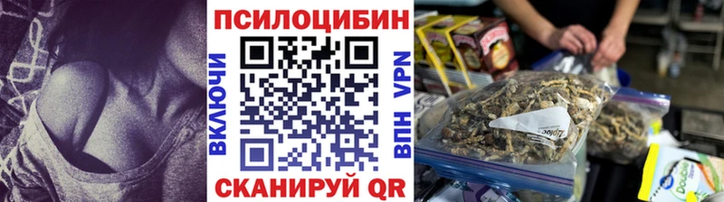 Псилоцибиновые грибы Psilocybe  Купить закладки  Ивдель 